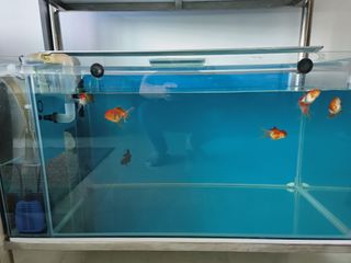 (Category: ) located in . Submitted by vista123 (Listing ID 1234665565, Image 1). Description: .