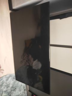 (Category: ) located in . Submitted by hartsen (Listing ID 1234648546, Image 1). Description: .