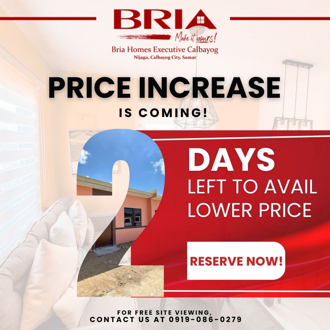 Beat The Price Increase Bria Homes Executive Calbayog on Carousell