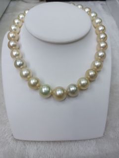 Champagne Color Authentic SOUTH SEA PEARL