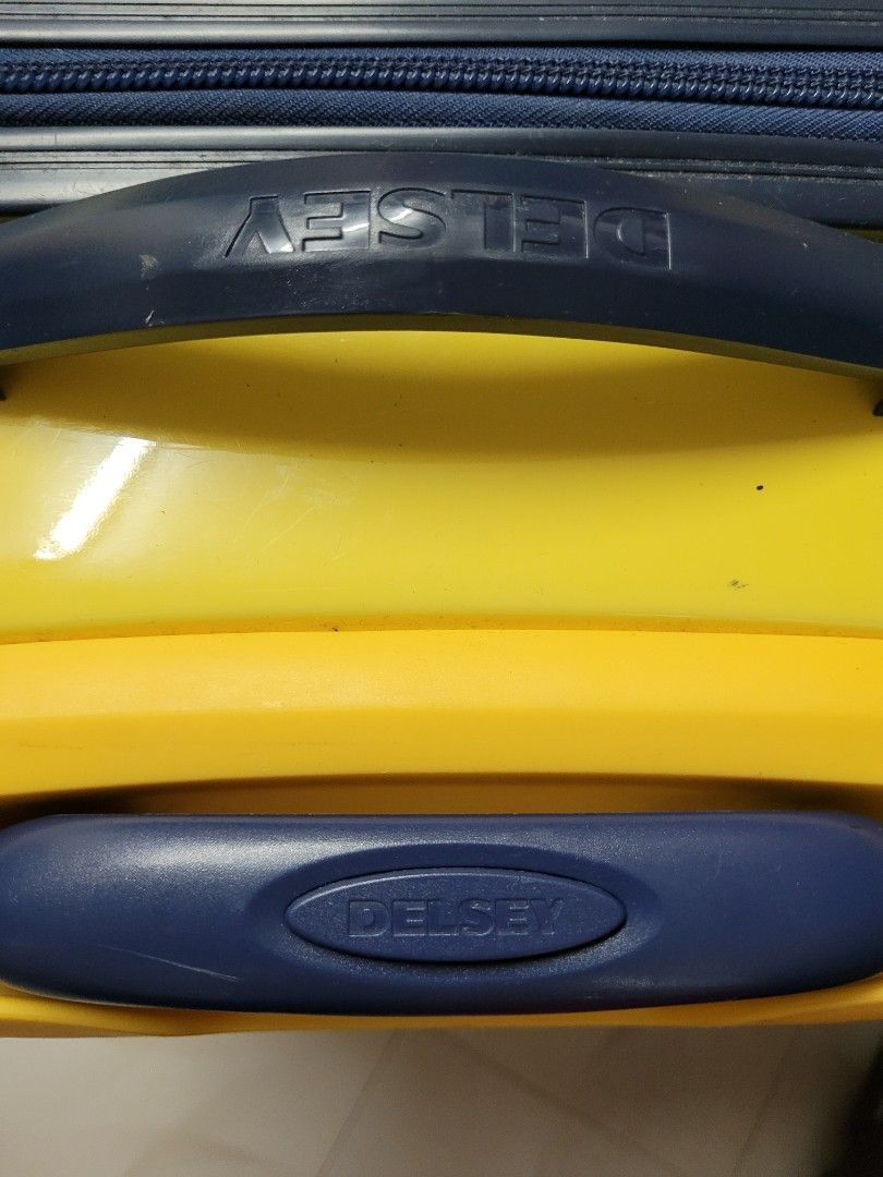 DELSEY 30 INCH Luggage, Free wheel, 30kilos, 興趣及遊戲, 旅行, 旅遊 行李箱