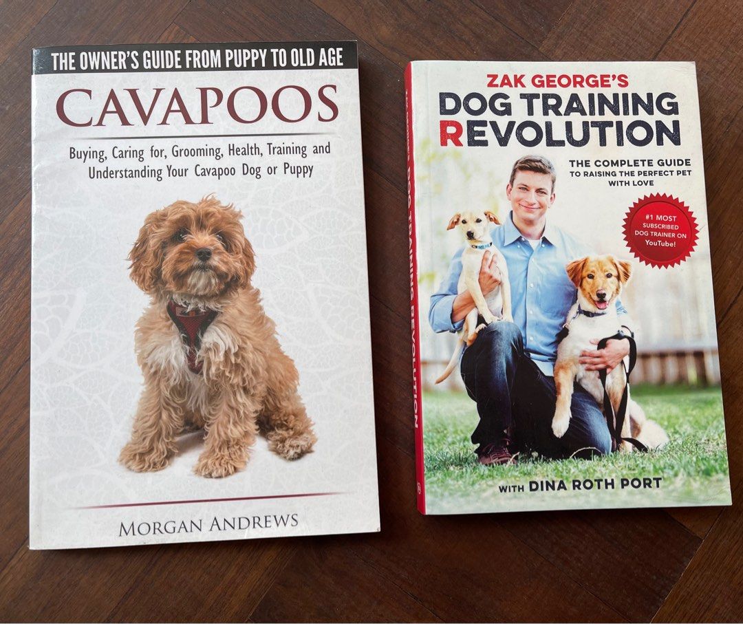 Dog Training & Cavapoo, Pet Supplies, Homes & Other Pet Accessories on