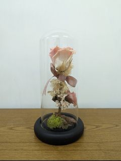 （分類：）位於 。 由 twin.1 提交（商品編號 1234659378，圖片 1）。簡介： 。