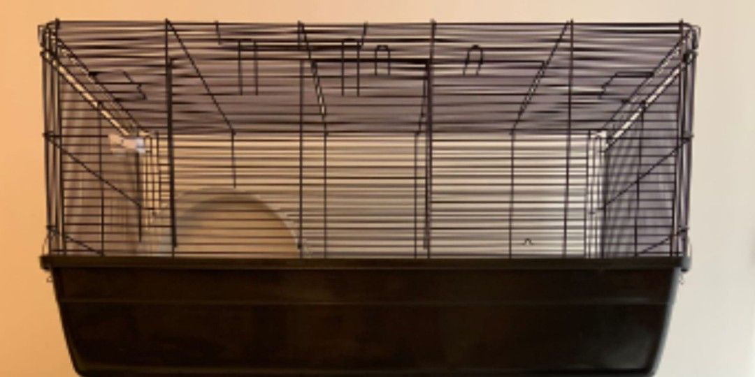 Picture of Guinea pig/Hamster cage, Pet Supplies, Homes & Other Pet Accessories on ...