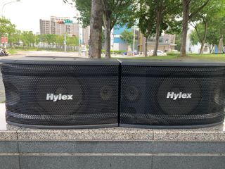 Hylex 10吋懸吊式喇叭