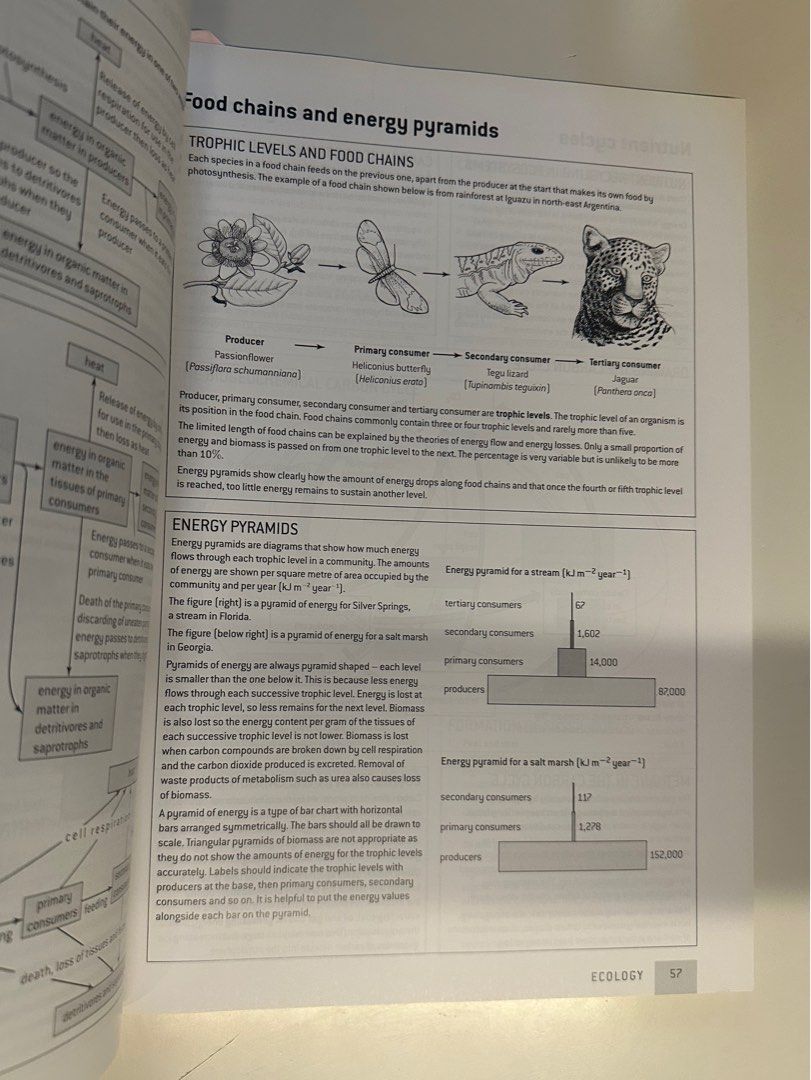 Ib Biology Study Guide Answers Ib Biology Study Guide Answers