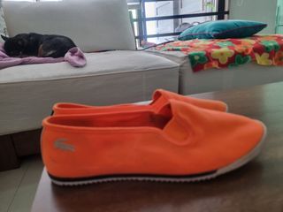 Lacoste shoes USA 7.5