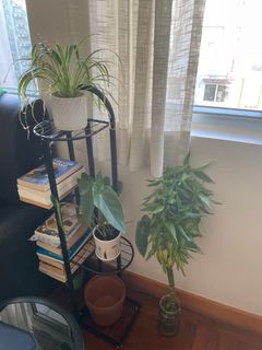 （分類：）位於 。 由 heen003 提交（商品編號 1234752539，圖片 1）。簡介： 。