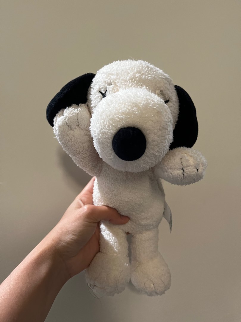 Peanuts X KAWS, Hobbies & Toys, Collectibles & Memorabilia, Vintage