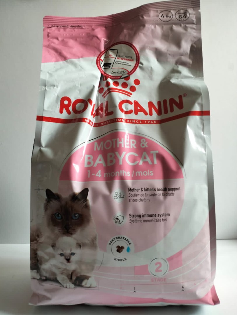 Royal Canin Mother Babycat 4kg Pet Supplies Pet Food on Carousell