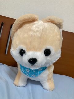 (Category: ) located in . Submitted by betchaybetchay (Listing ID 1234706191, Image 1). Description: .