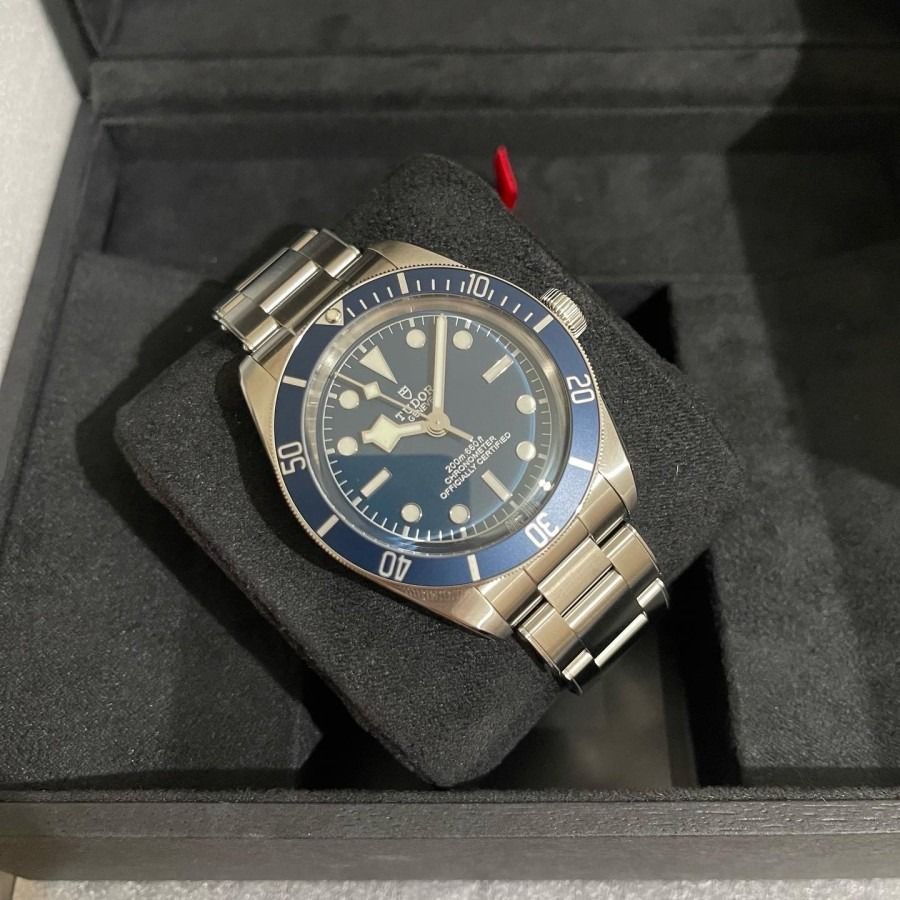 Harga jam tangan sales tudor black bay