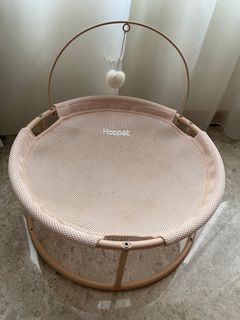 Used Cat or dog bed