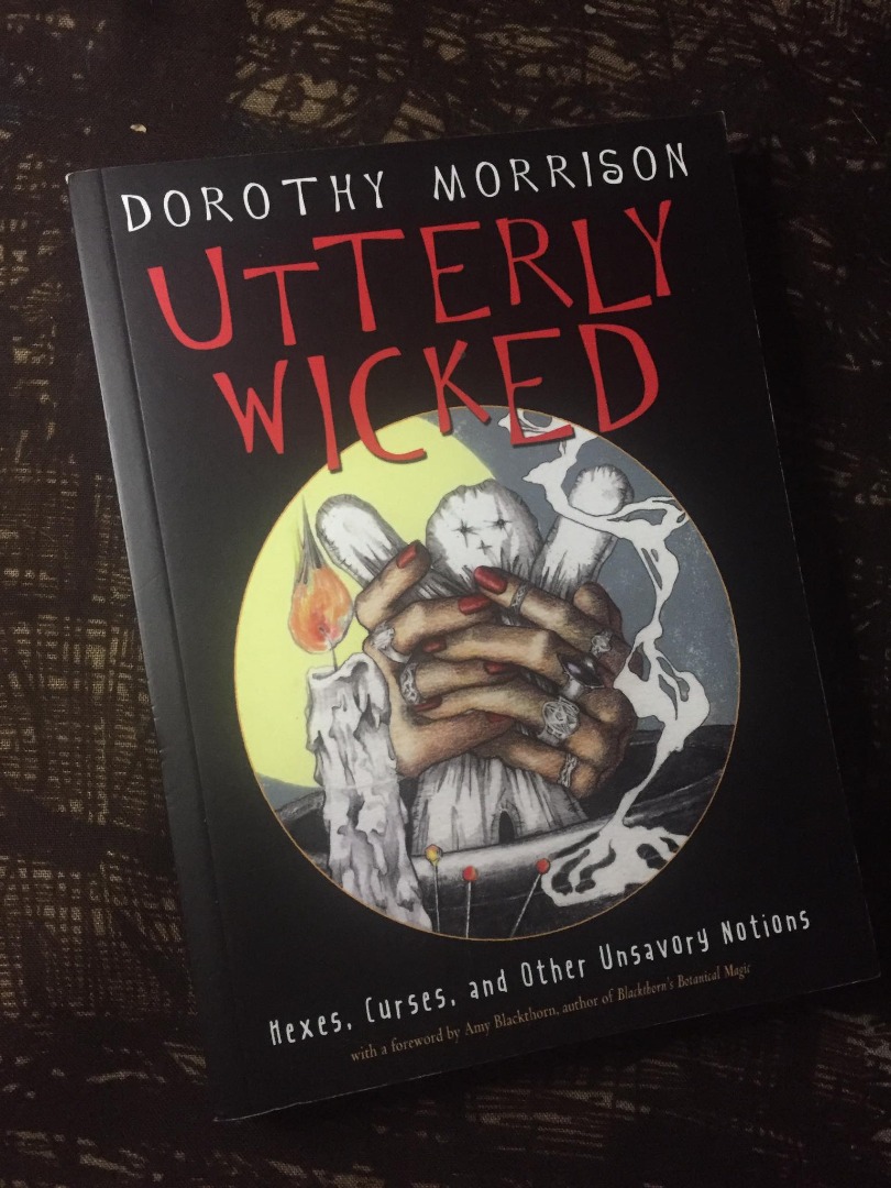 Utterly Wicked Hobbies And Toys Books And Magazines Fiction And Non Fiction On Carousell 