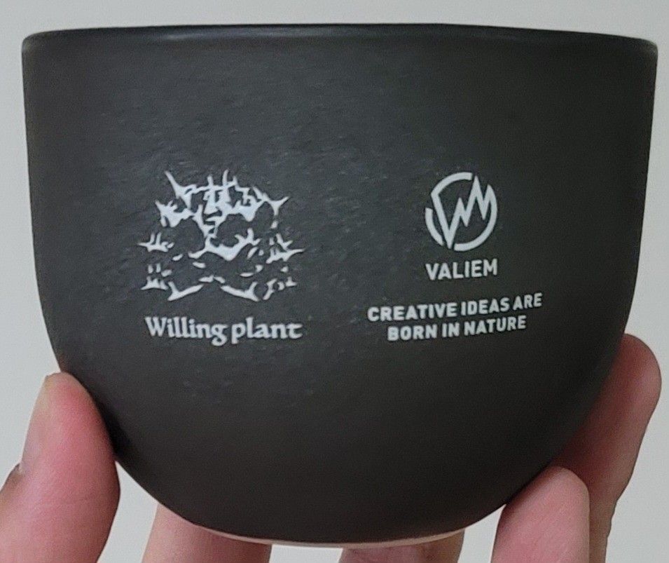 新品 valiem willing plant 別注鉢 S ASURA-