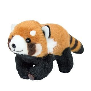 少量現貨 日本品牌 吉德 超可愛 小貍貓 red panda