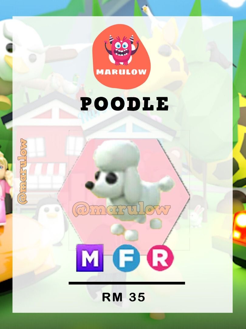 Adopt Me -Poodle MFR ( Roblox ), Video Gaming, Gaming Accessories, In ...
