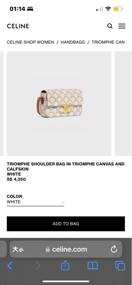 Celine triomphe shoulder bag, Women's Fashion, Bags & Wallets, Purses ...