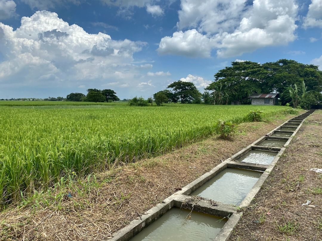 Farm Lot Candaba Pampanga nr San Miguel Bulacan, Property, For Sale