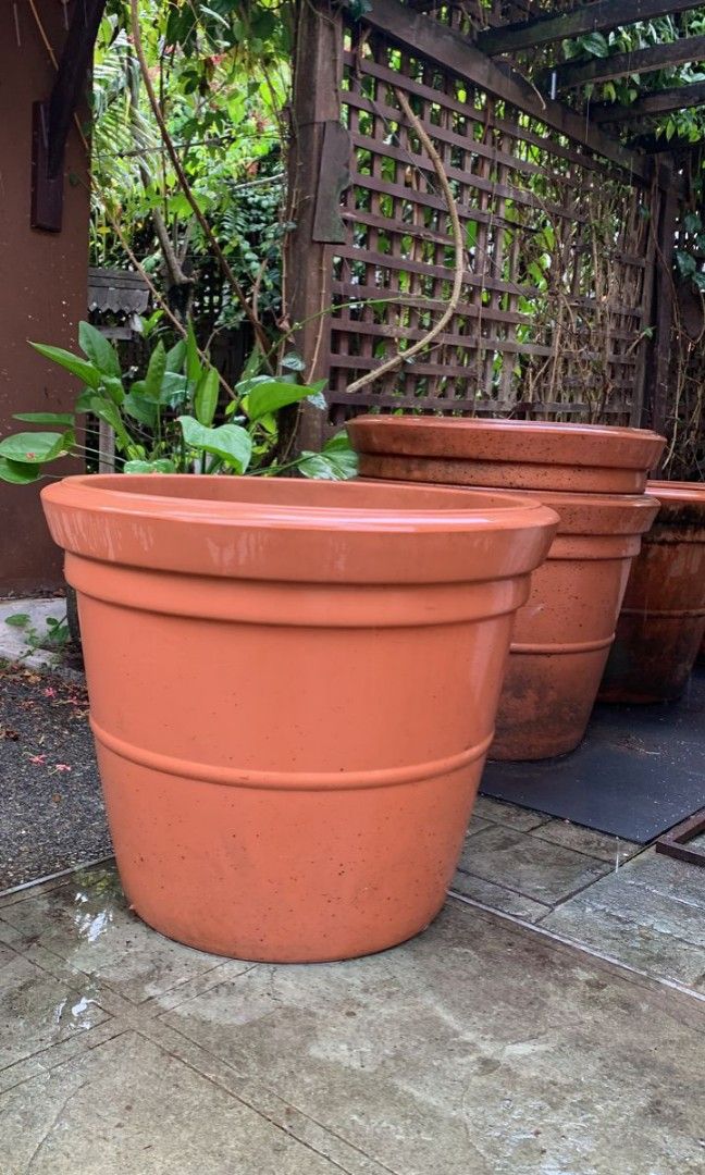 Giant High Quality Plastic Pot Planter, Furniture & Home Living, Gardening,  Pots & Planters on Carousell