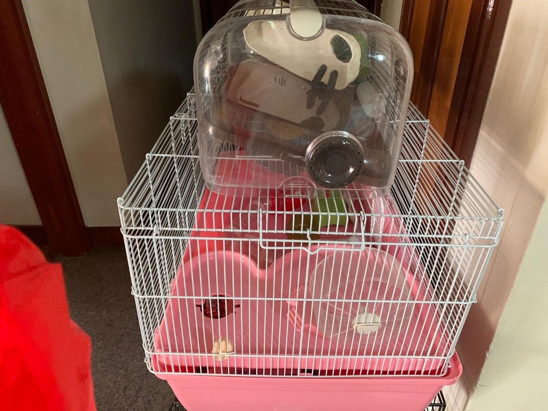 Hamster cages 450 square inches discount