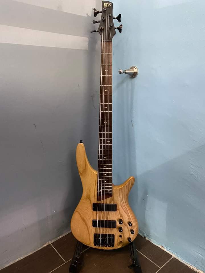 Ibanez outlet bartolini pickups