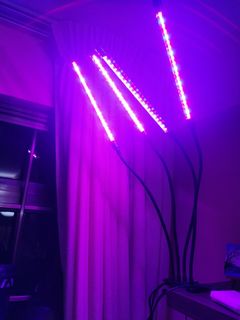 (Category: ) located in . Submitted by kkboyle (Listing ID 1234945515, Image 1). Description: .