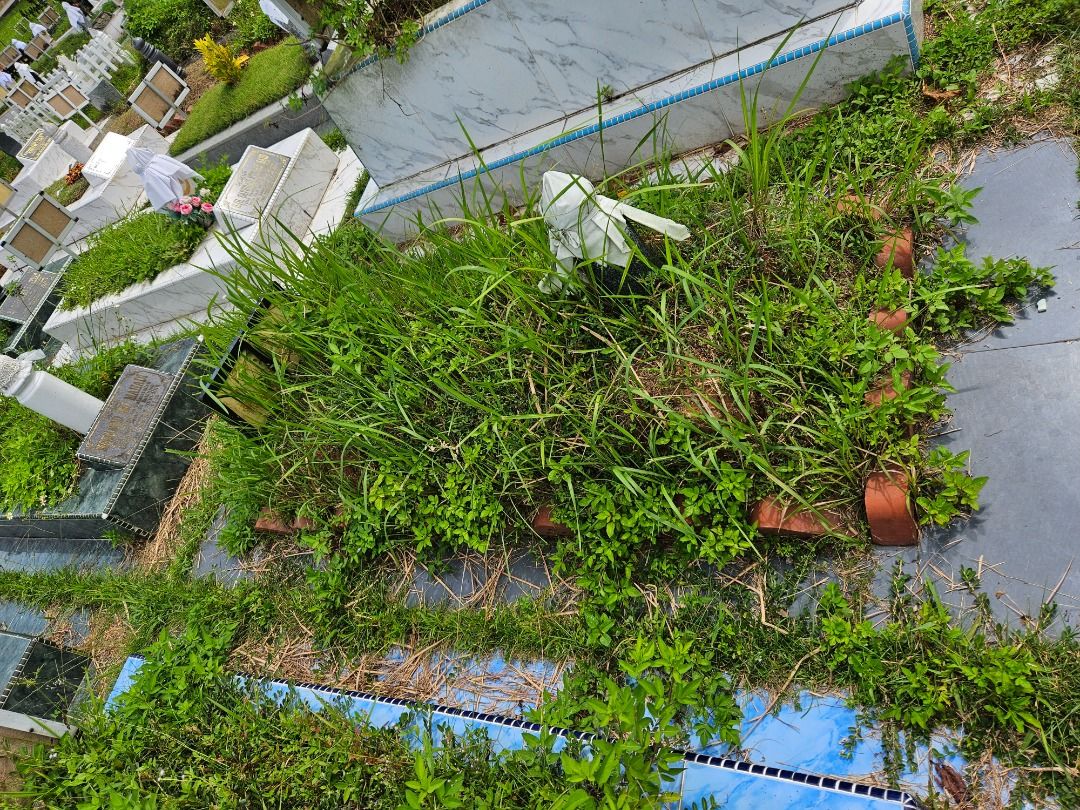 MEMBERSIHKAN KUBUR DAN PUSARA64884980488833112