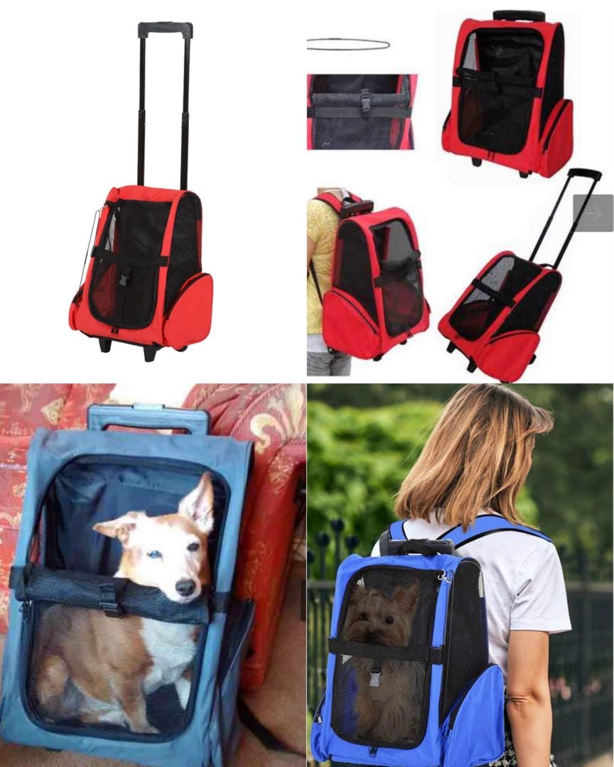 Pet Stroller Backpack BNEW, Pet Supplies, Homes & Other Pet Accessories