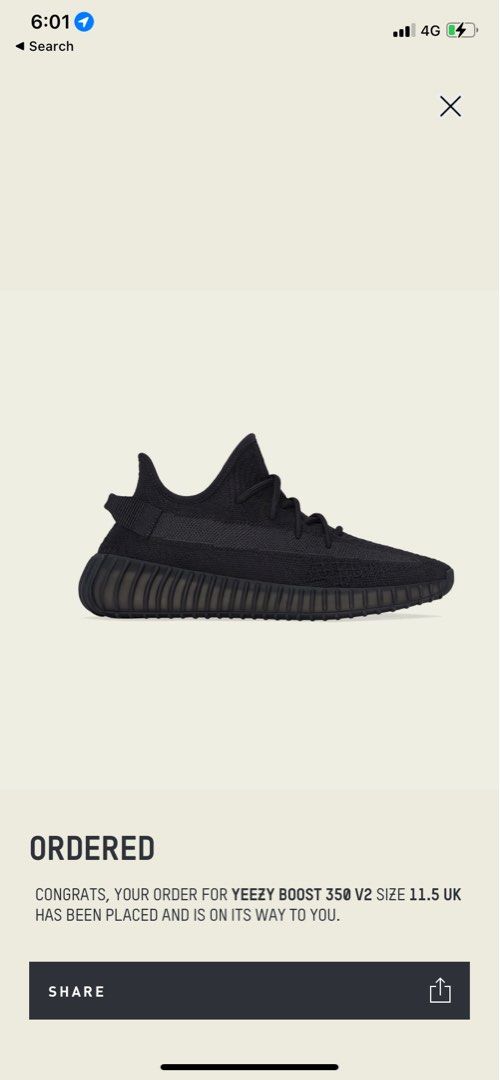 Adidas us yeezy 350 v2 on sale 4g