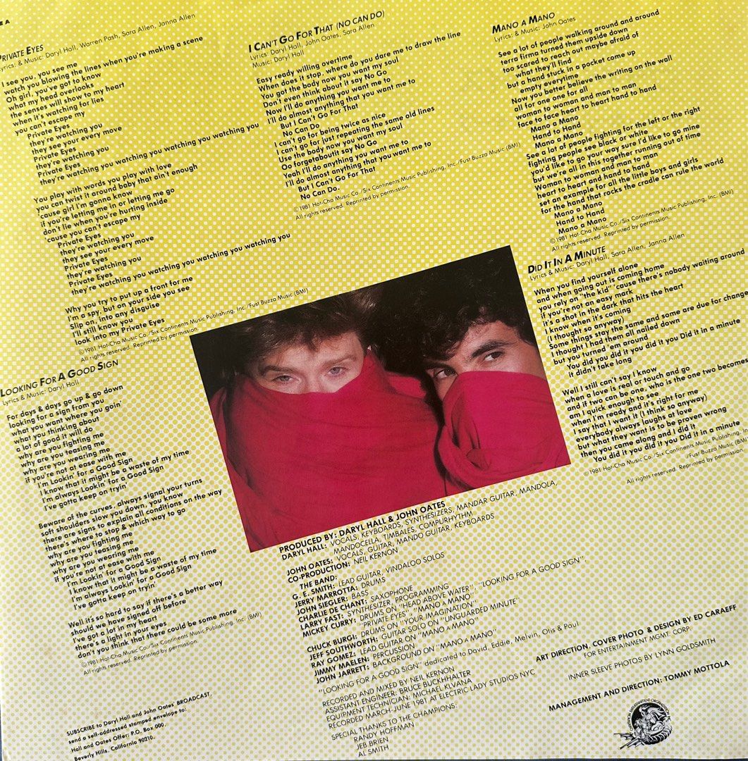 Daryl Hall and John Oates: Private Eyes LP vinyl, Hobbies & Toys, Music &  Media, Vinyls on Carousell