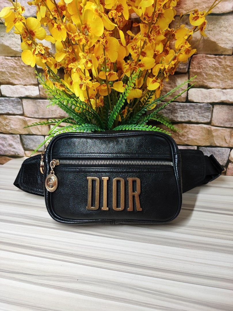 Dior pouch bag waist bag