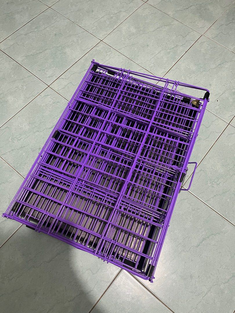 Dog cage small breed, Pet Supplies, Homes & Other Pet Accessories on