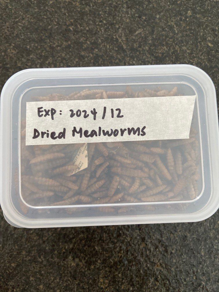 Dried mealworms for hamsters, Pet Supplies, Pet Food on Carousell
