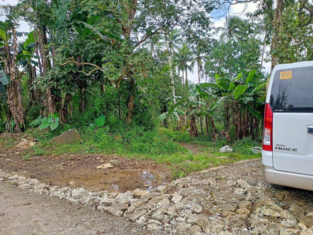 Farm Lot (Lucban, Quezon), Property, For Sale, Lot on Carousell