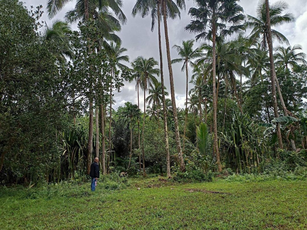 Farm Lot (Lucban, Quezon), Property, For Sale, Lot on Carousell