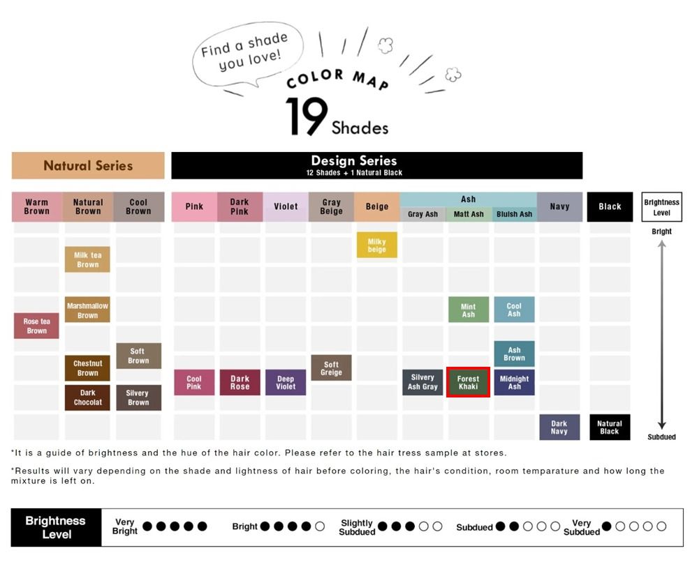 Forest Khaki (Kao Liese Creamy Bubble Color), Beauty & Personal Care