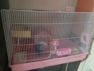 (Category: ) located in . Submitted by floodmail54885 (Listing ID 1230072063, Image 1). Description: .