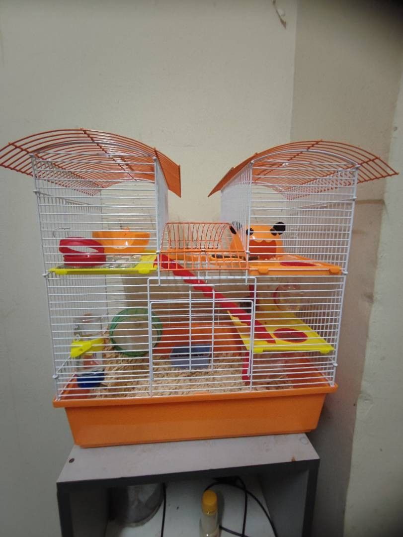 Photo inspiration: Hamster Twin Tower Cage Pet Supplies Homes Other Pet Accessories Photo Inspiration