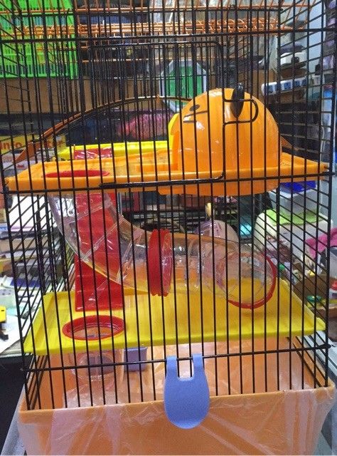 Photo inspiration: Fresh Look at Hamster Twin Tower Cage Pet Supplies Homes Other Pet Accessories