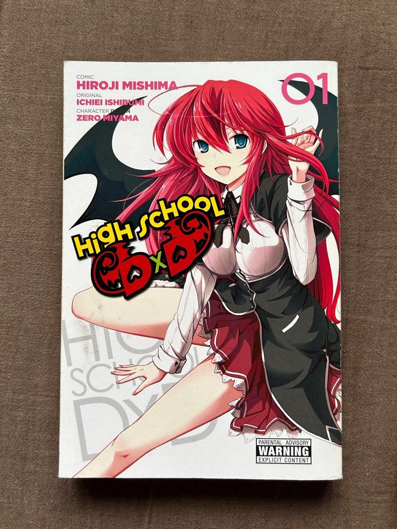 High school DxD light novel, Hobbies & Toys, Books & Magazines, Comics &  Manga on Carousell