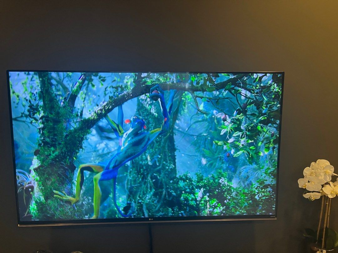 LG 65 Inch 4K Smart TV, TV & Home Appliances, TV & Entertainment, TV on