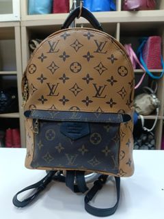 Louis Vuitton 2IN1 Backpack