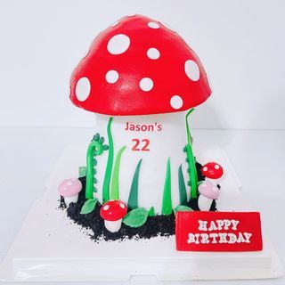 Mushroom cake/bithday cake/pinata cake/knock knock cake/money pulling cake