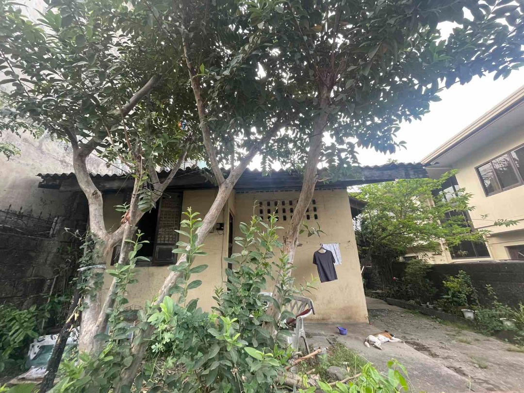 OLD HOUSE AND LOT FOR SALE IN BRGY. ROXAS DISTRICT QUEZON CITY 200SQM