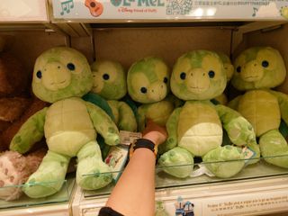 （分類：）位於 。 由 _ucbg_ 提交（商品編號 1230121898，圖片 1）。簡介： 。