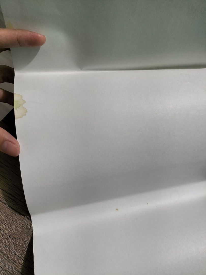 Sarah Mlynowski WHATEVER AFTER Sink or Swim, Hobbies & Toys, Books