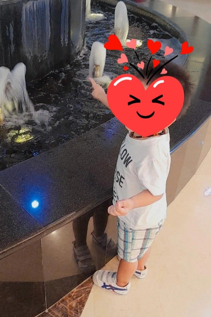 onitsuka tiger anak asli