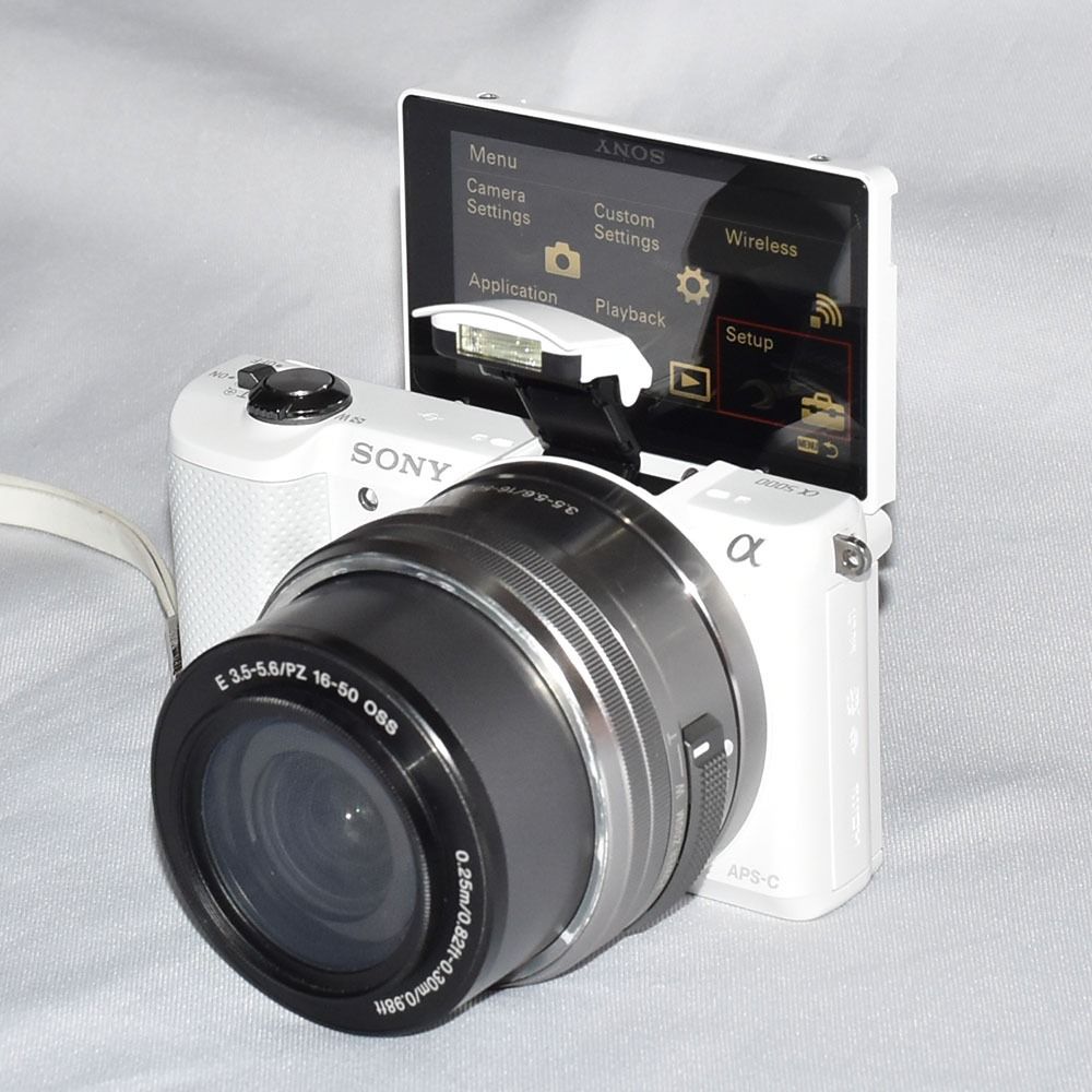 Sony mirrorless A5000 with 1650mm AF OSS lens (with Sony camera bag