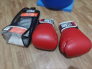 TITANS Boxing Gloves